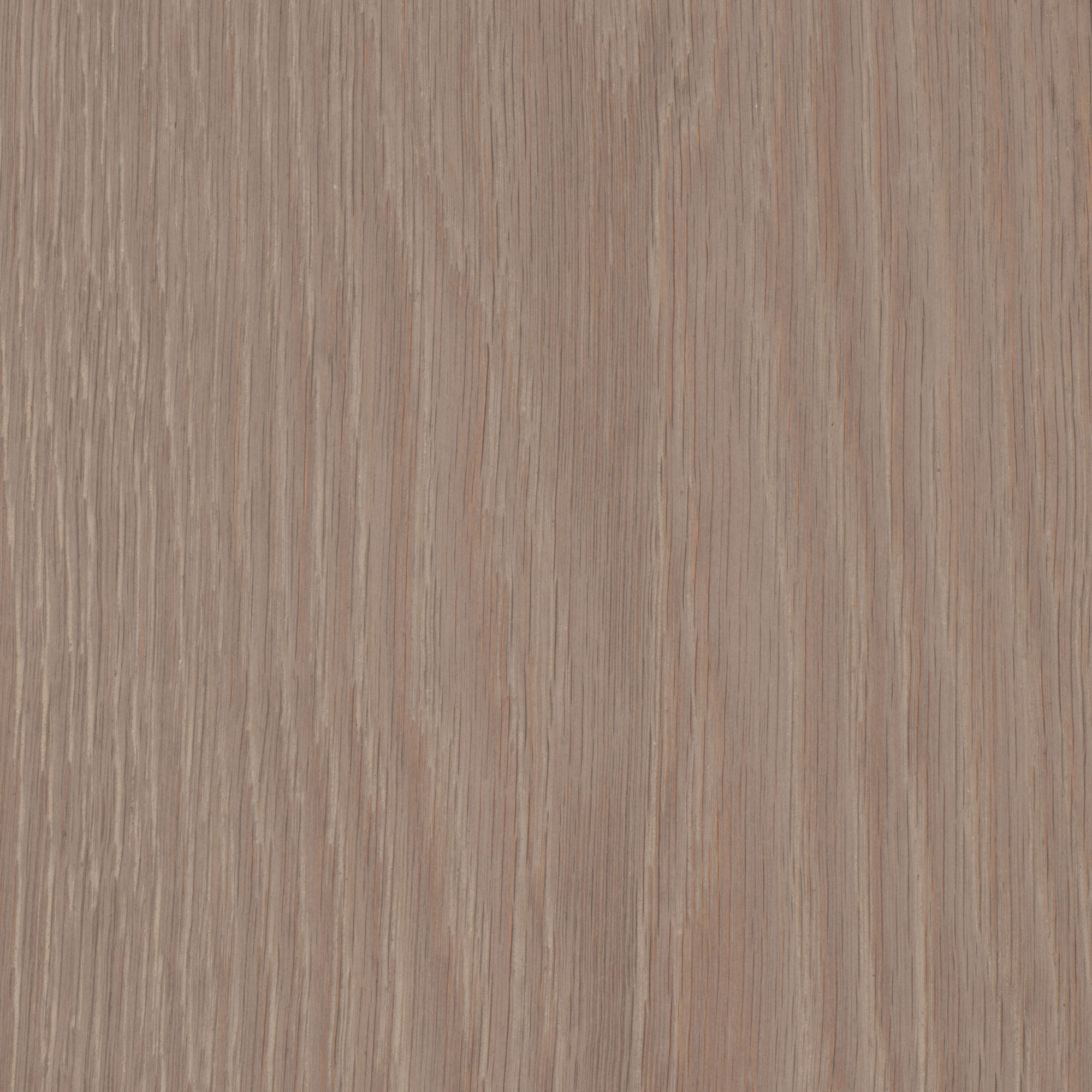 Ash Grey Oak | Element7